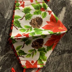 Poinsettia child face mask